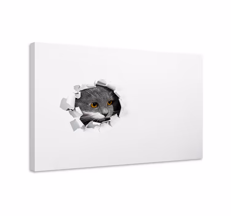 Wandbilder katzen süße katzenmotive - TenStickers