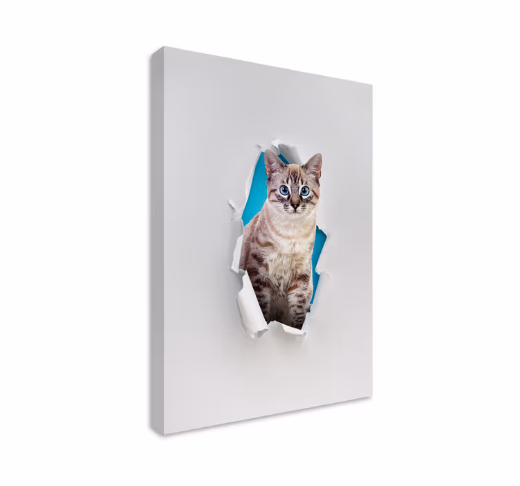 Wandbilder katzen für katzenliebhaber - TenStickers
