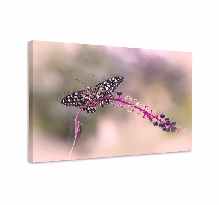 Wandbild schmetterling lila schmetterling - TenStickers