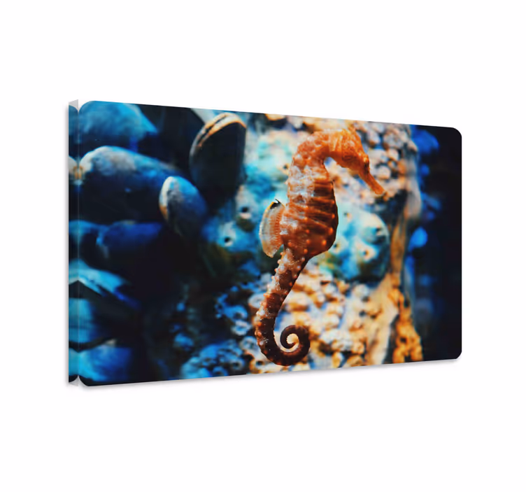 Wandbild fische meeresboden - TenStickers