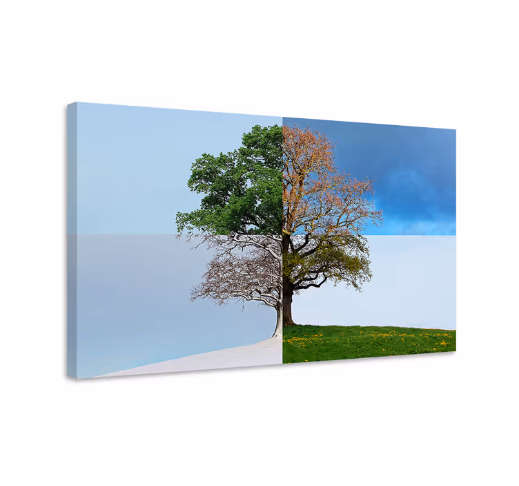 Wandbild baum jahreszeitlicher kontrast - TenStickers