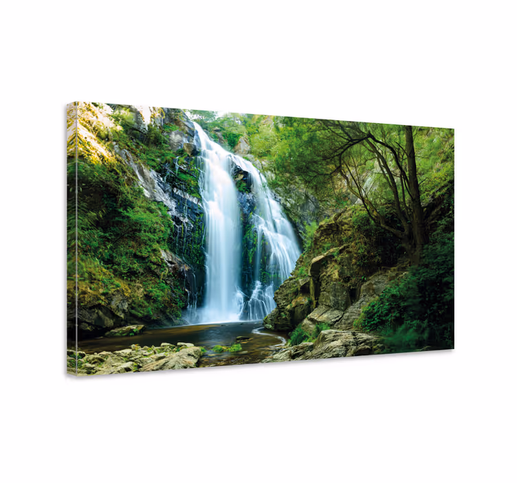 Wandbild Baum Wasserfall im wald - TenStickers