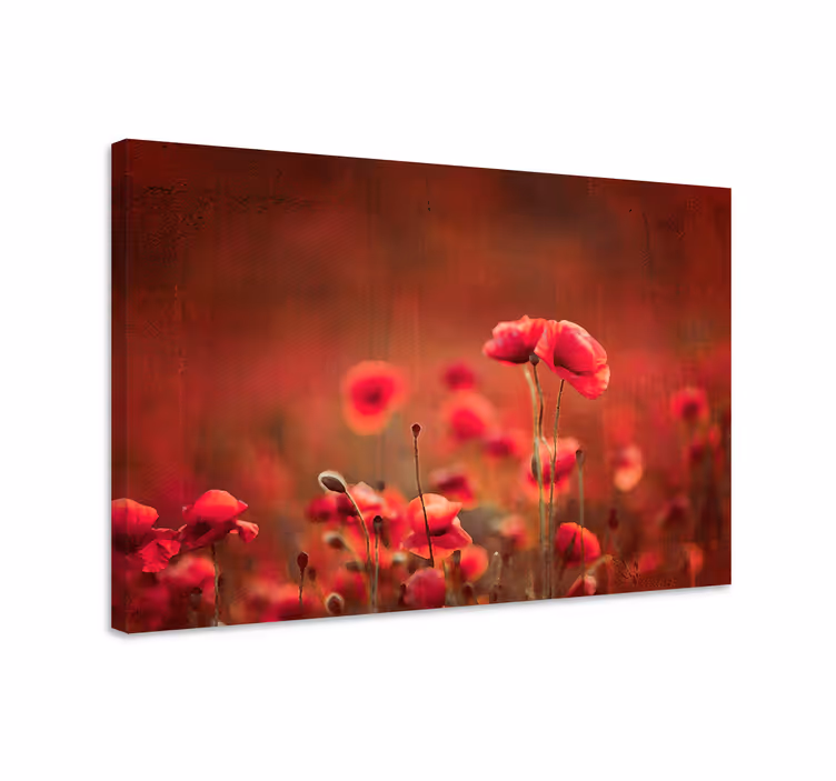 Leinwandbild strahlendes mohnblumenfeld - TenStickers