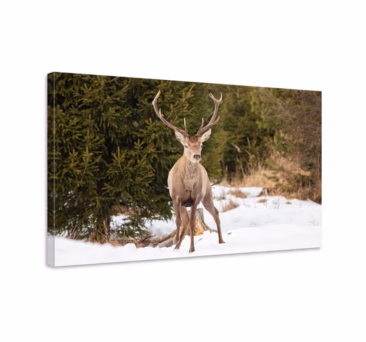 Hirsch bild leinwand majestätischer hirsch in der natur - TenStickers
