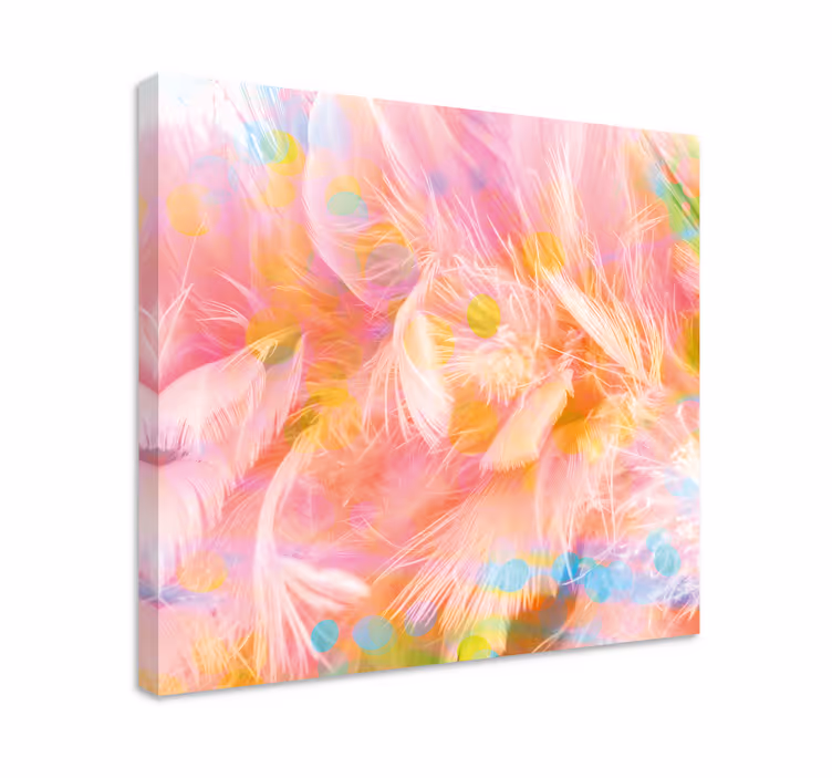 Wandbild federn zarte federdesigns - TenStickers