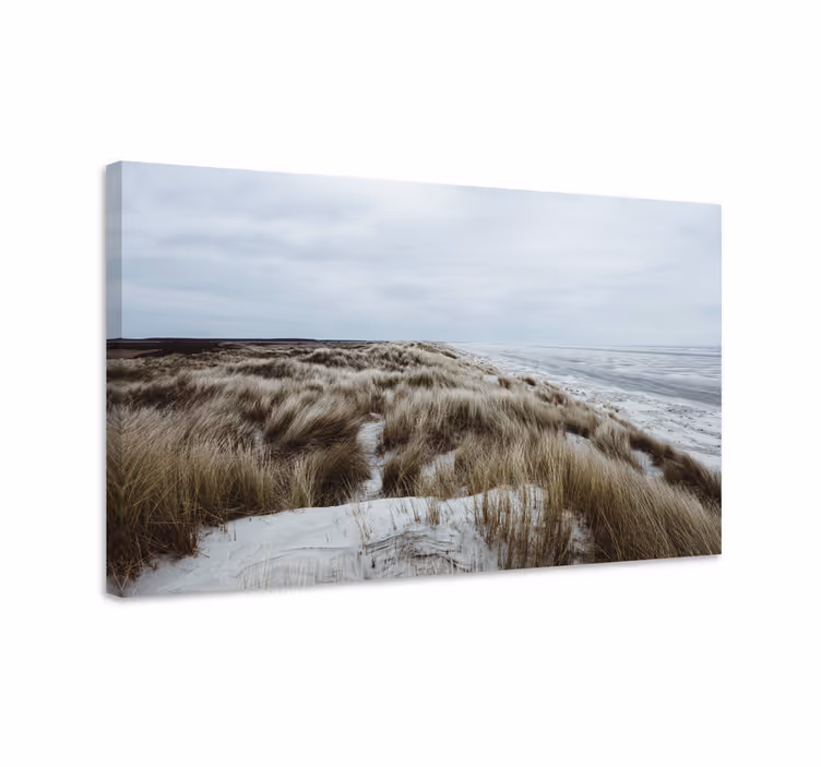 Wandbilder landschaft küstendünenansicht - TenStickers
