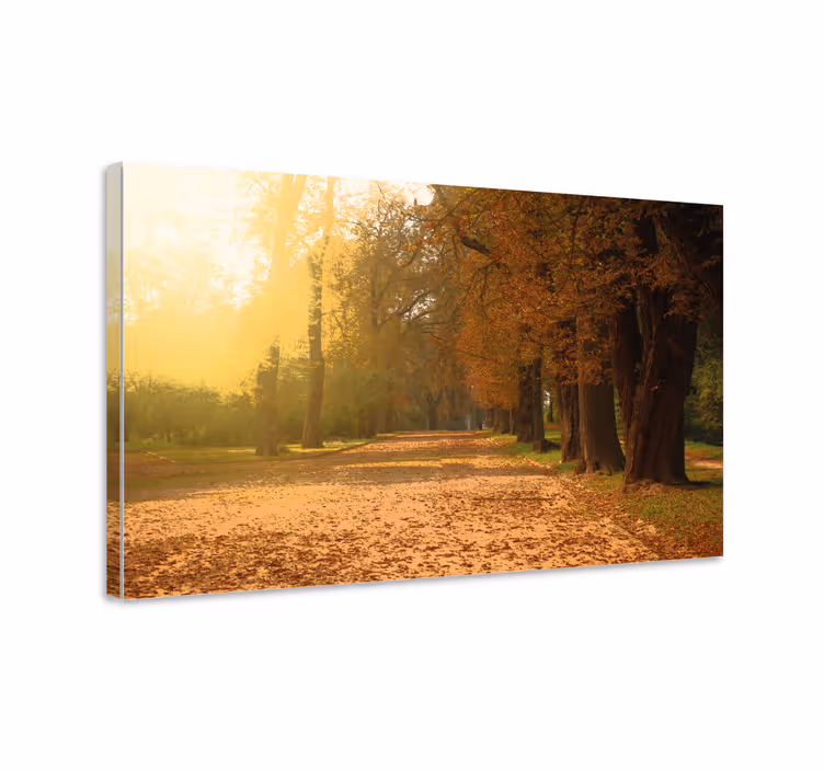 Wandbilder landschaft herbstweg - TenStickers