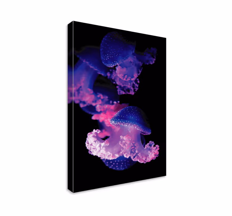 Wandbilder modern Lila quallen - TenStickers