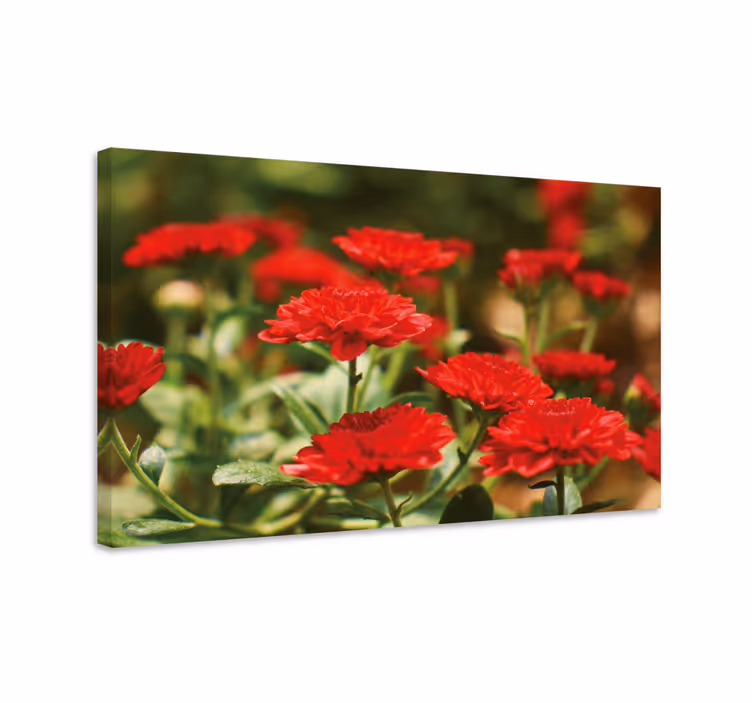 Leinwandbild rote blumenblüten - TenStickers
