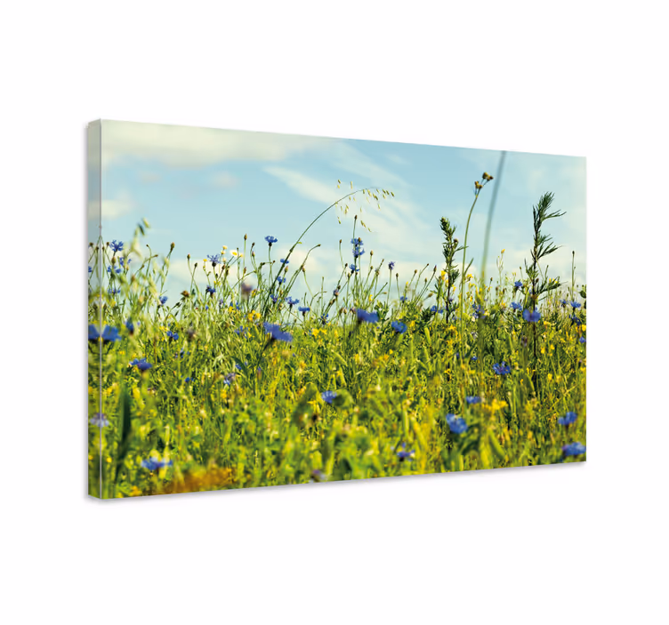 Leinwandbild wiesenblumenlandschaft - TenStickers