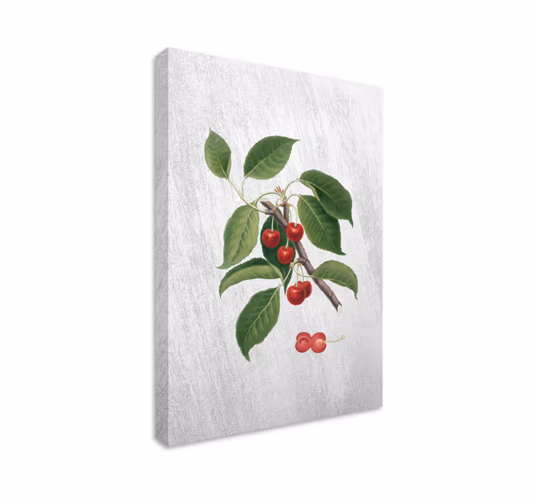 Leinwandbild obst kirschzweig detail - TenStickers