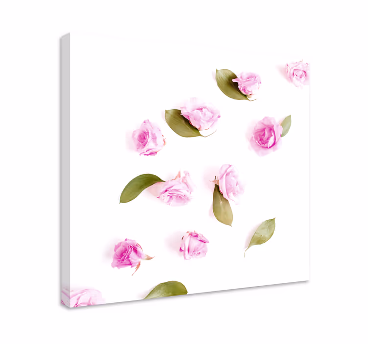 Leinwandbild zarte rosa Rosen - TenStickers