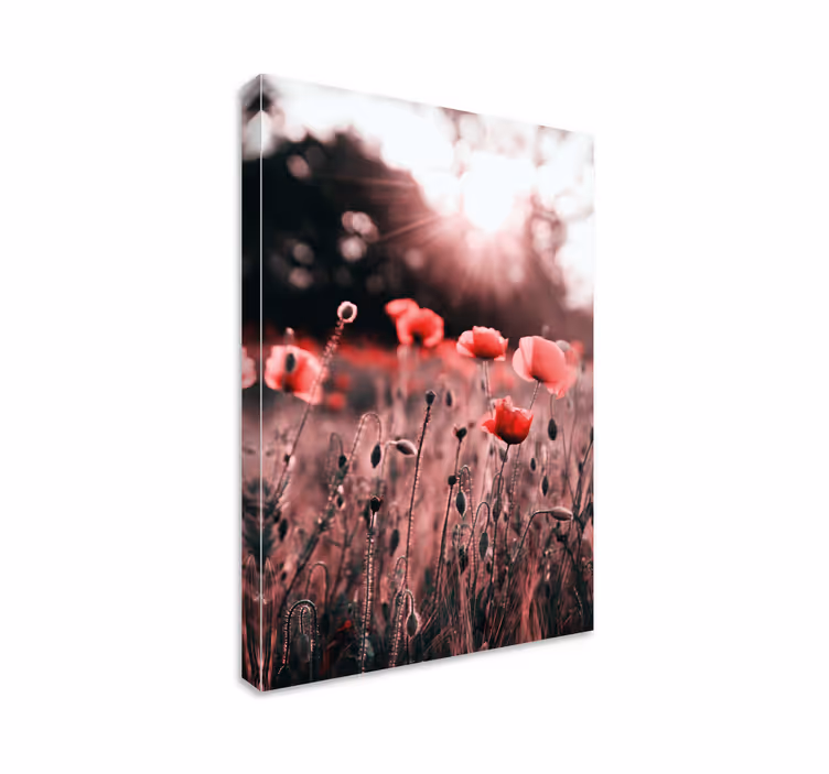 Leinwandbild poppy wiesenstrahlen - TenStickers