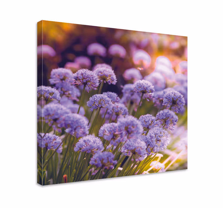 Leinwandbild mit lebhaften lila blüten - TenStickers