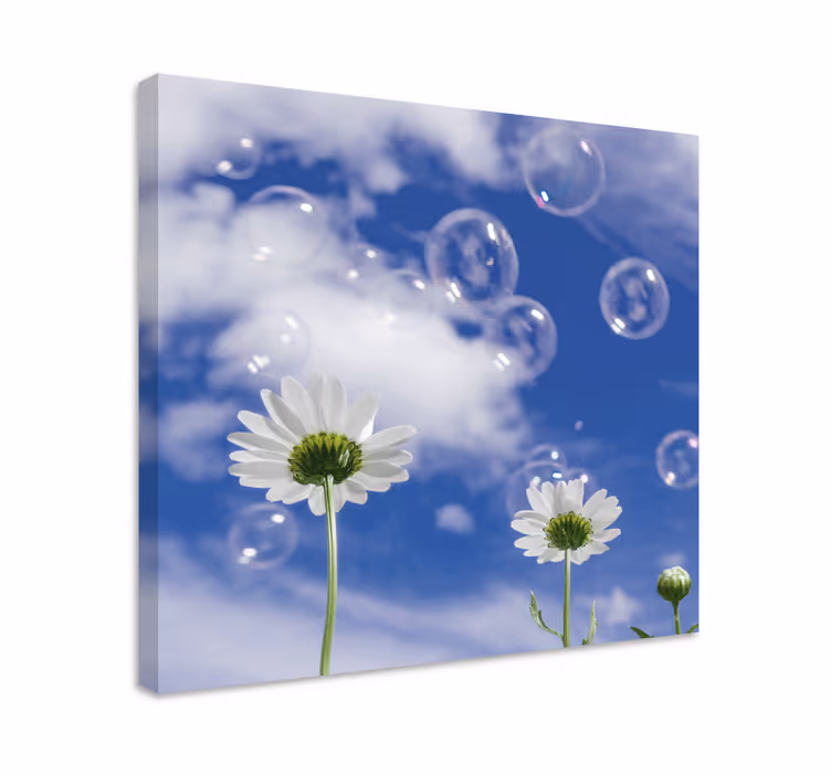 Leinwandbild Gänseblümchen und Blasen - TenStickers