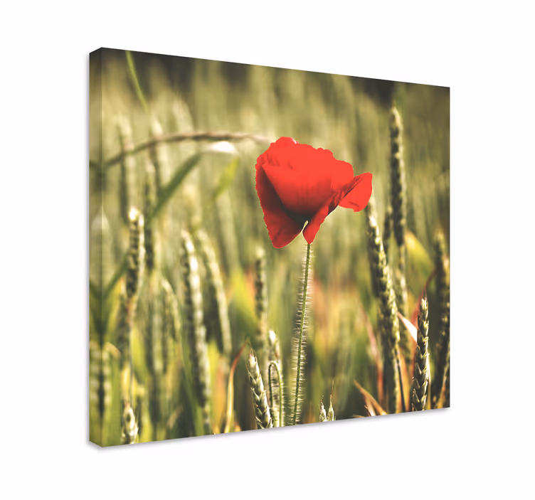 Leinwandbild rote blumenblüte - TenStickers
