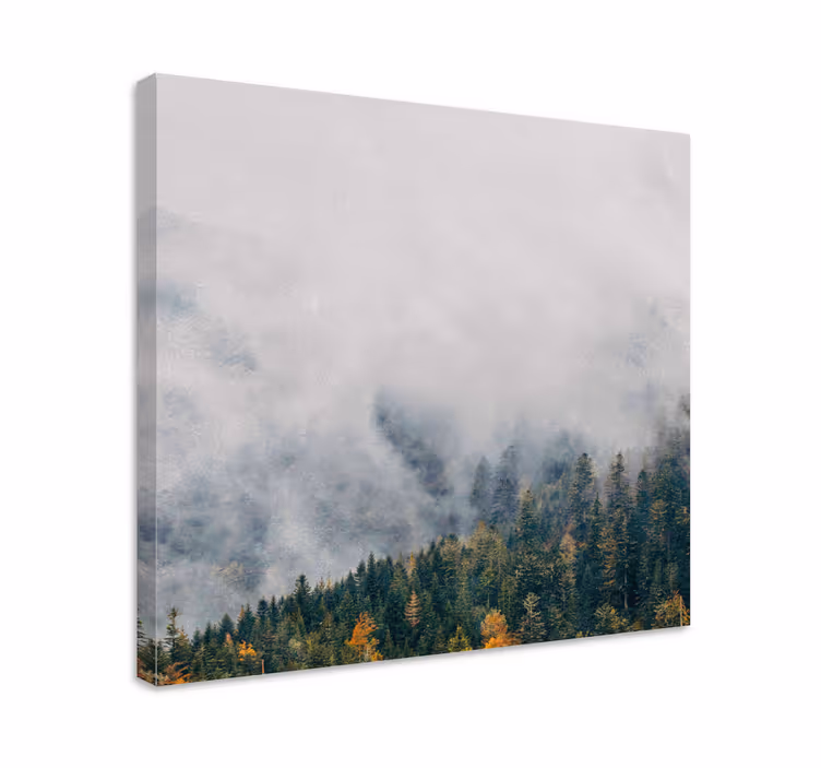 Wandbild baum nebelwald landschaft - TenStickers