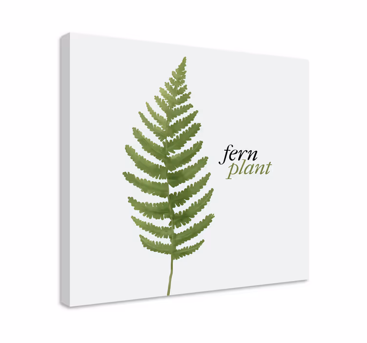Leinwandbild farn pflanzen design - TenStickers