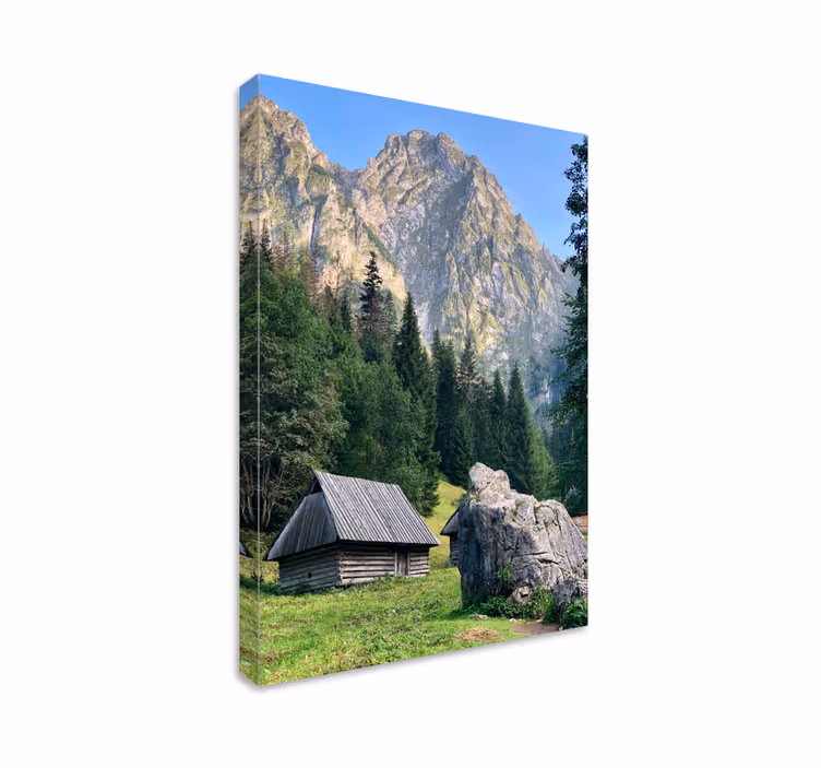 Wandbilder landschaft bergwaldszene - TenStickers