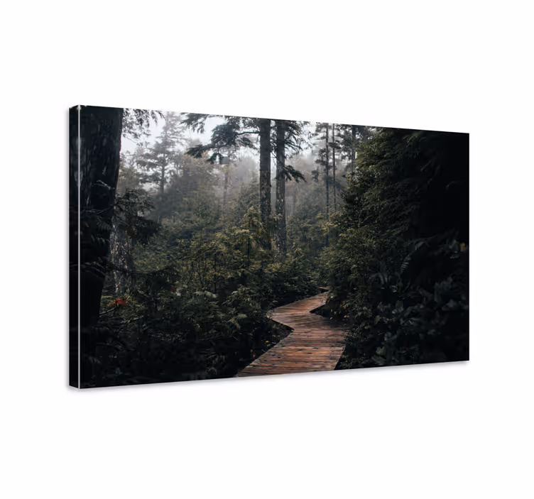Wandbilder landschaft holzweg reise - TenStickers