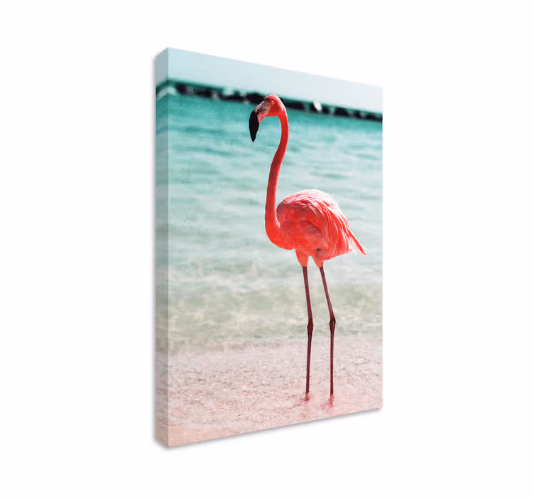 Leinwandbild vogel elegante flamingo-haltung - TenStickers