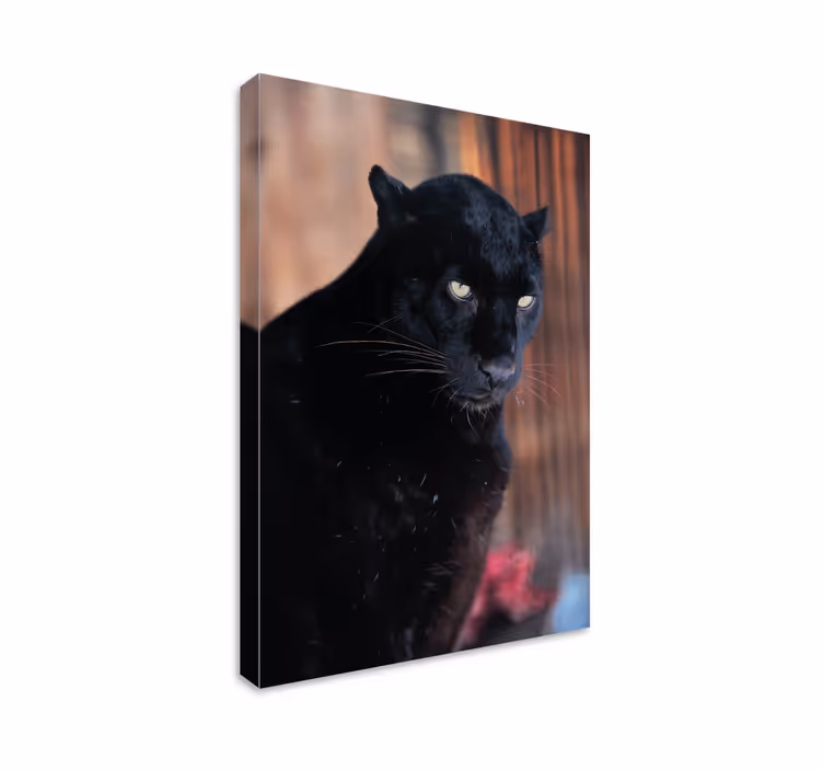 3D Wandbilder Leopardenpirschen - TenStickers