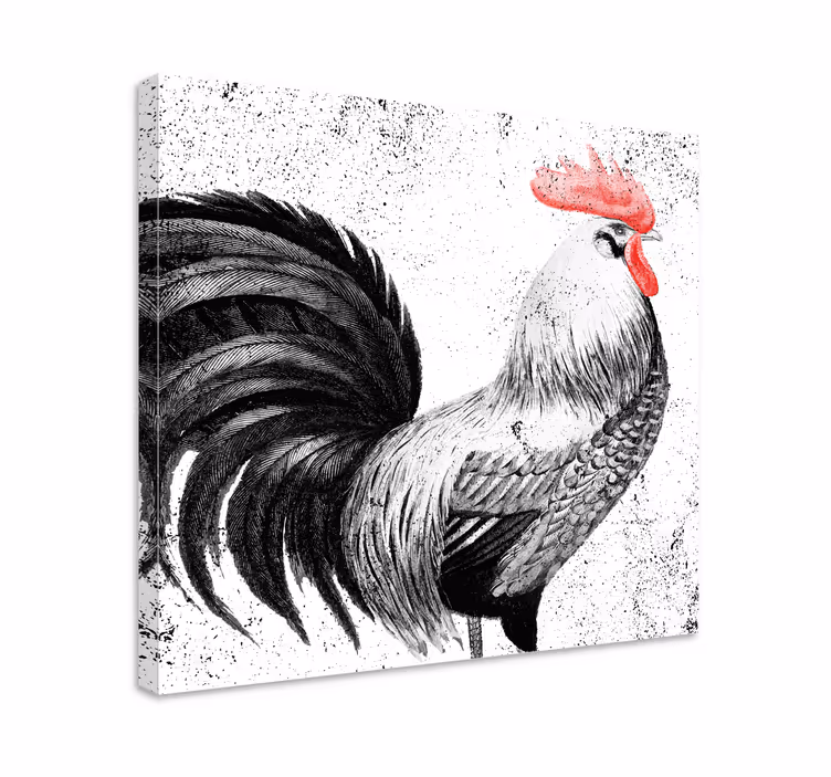 Leinwandbild Vogel Schwarzer und roter hahn - TenStickers