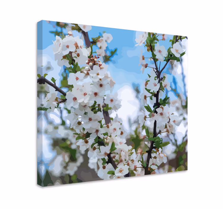 Leinwandbild zarte weiße blüten - TenStickers