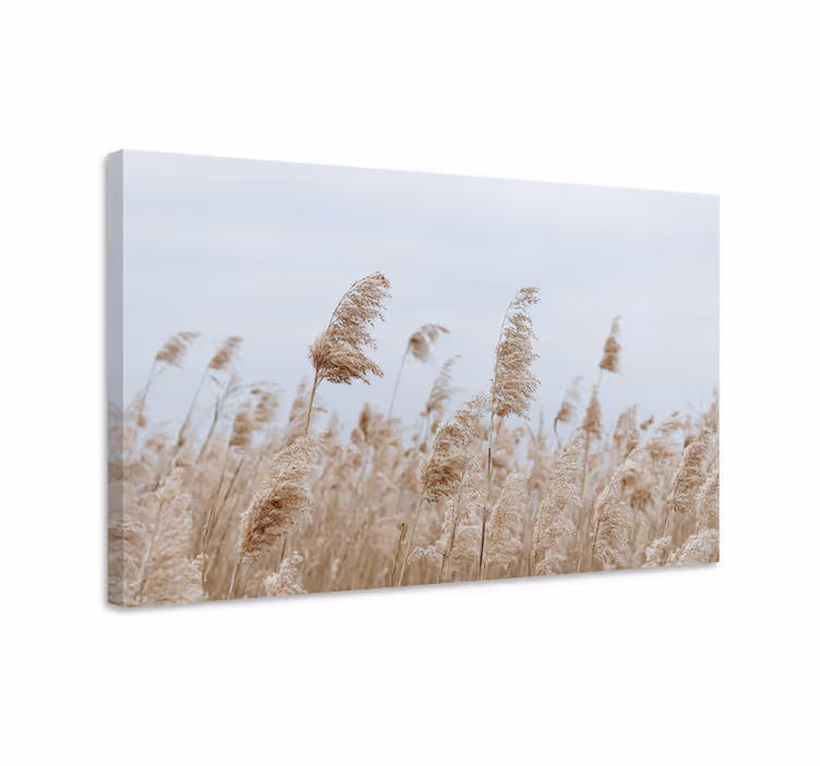 Leinwandbild sanfte grasbrise - TenStickers
