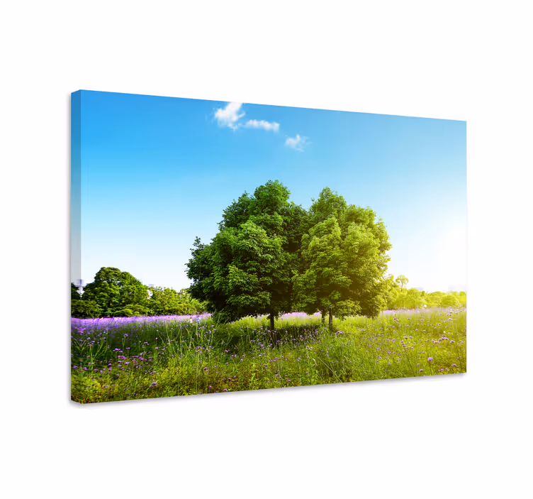 Wandbild baum ruhige grünoase - TenStickers