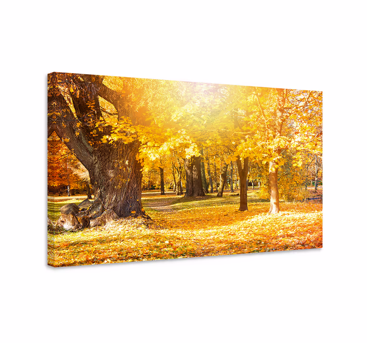 Wandbild baum herbstwaldweg - TenStickers