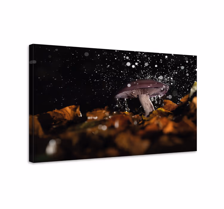 Leinwandbild pilzspritzer - TenStickers