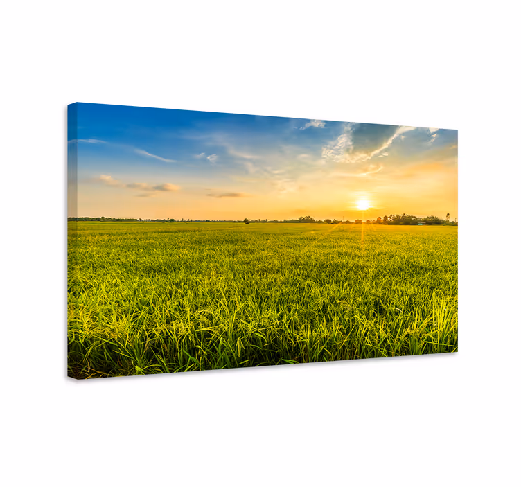Wandbilder Landschaft sonnenuntergang über feldern - TenStickers
