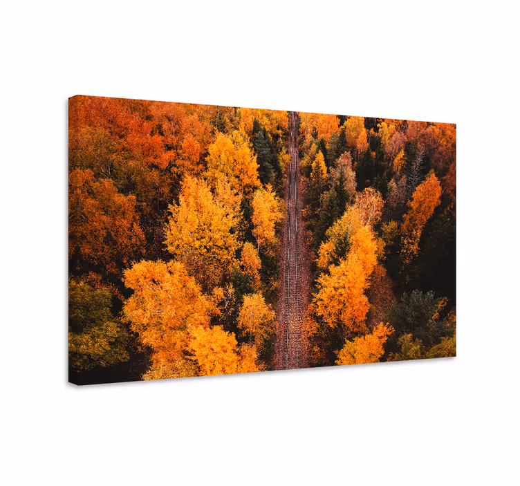 Wandbilder landschaft herbstlaubweg - TenStickers