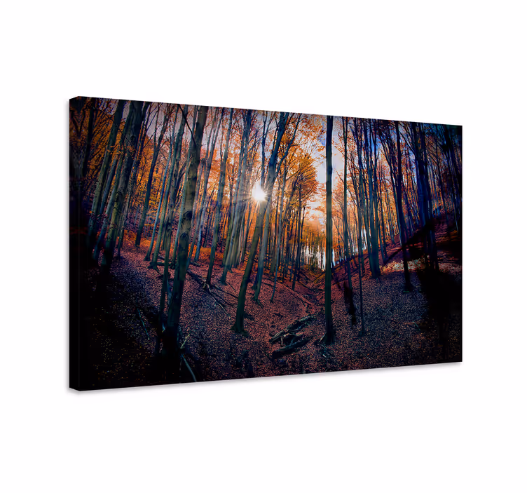 Wandbilder landschaft herbstwald glühen - TenStickers