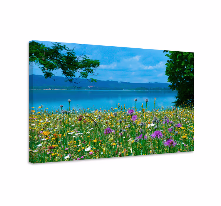 Leinwandbild blühende wiesenansicht - TenStickers
