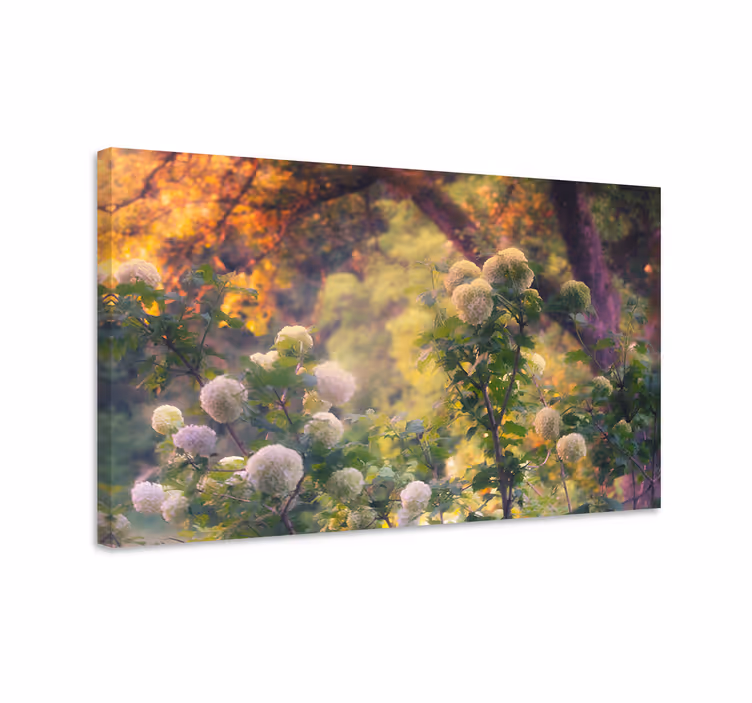Leinwandbild blumenwiese blüten - TenStickers