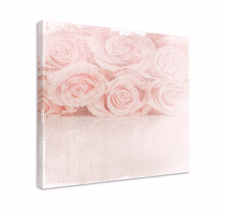 Leinwandbild zarte blush-rosen - TenStickers