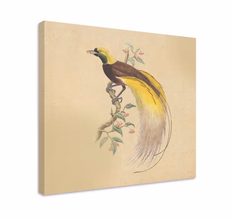 Leinwandbild Vogel exotische sitzend - TenStickers