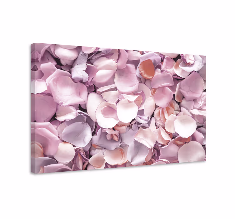 Leinwandbild rosenblüten kollektion - TenStickers