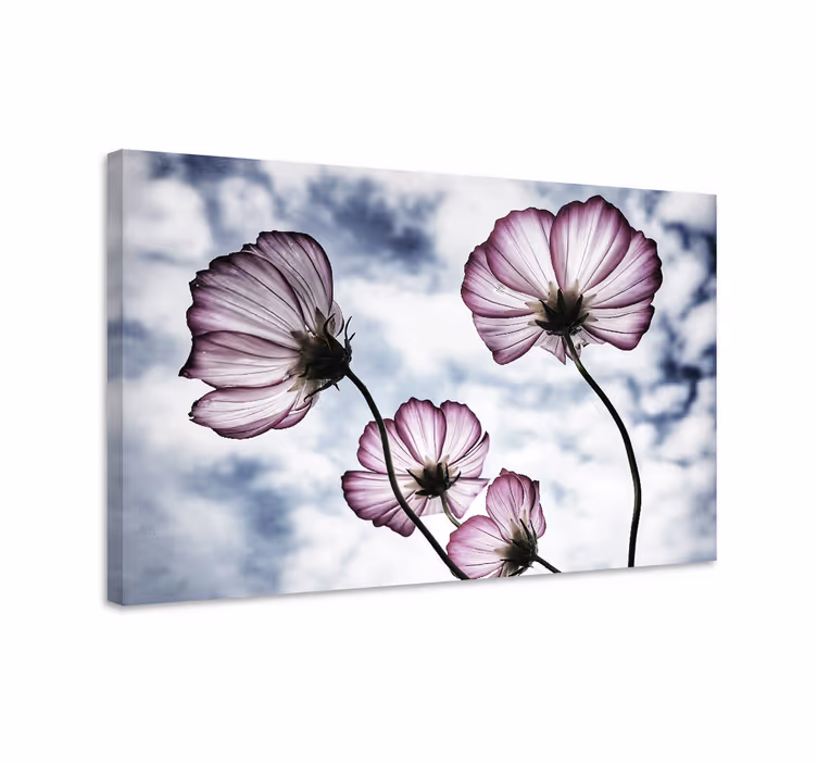 Leinwandbild Blumen in der silhouette - TenStickers