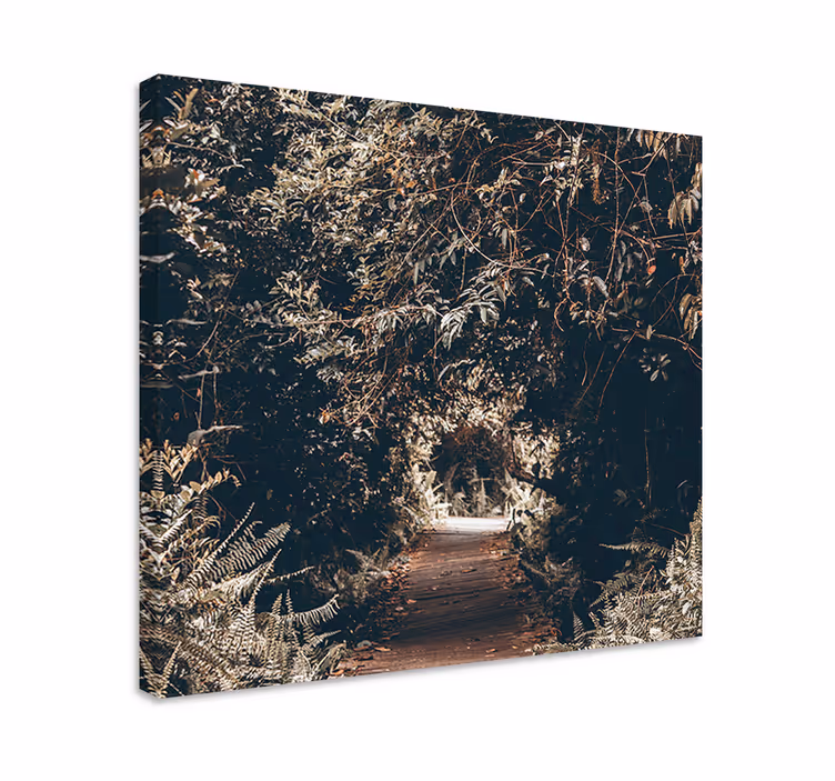Wandbild baum mit waldweg - TenStickers
