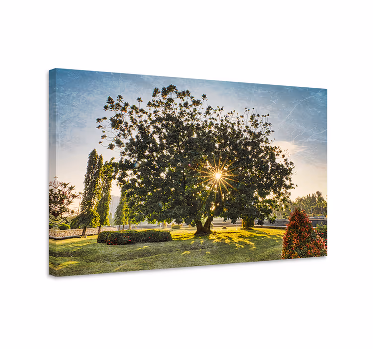 Wandbild baum majestätische baumsilhouette - TenStickers