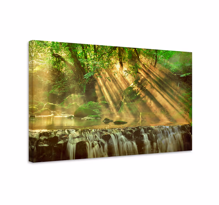 Wandbilder landschaft sonnenbeschienener waldfluss - TenStickers