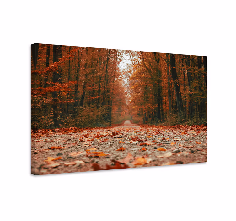 Wandbilder landschaft herbstpfad - TenStickers