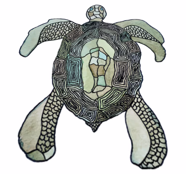 Vinyl teppich tiere klassische schildkröte - TenStickers