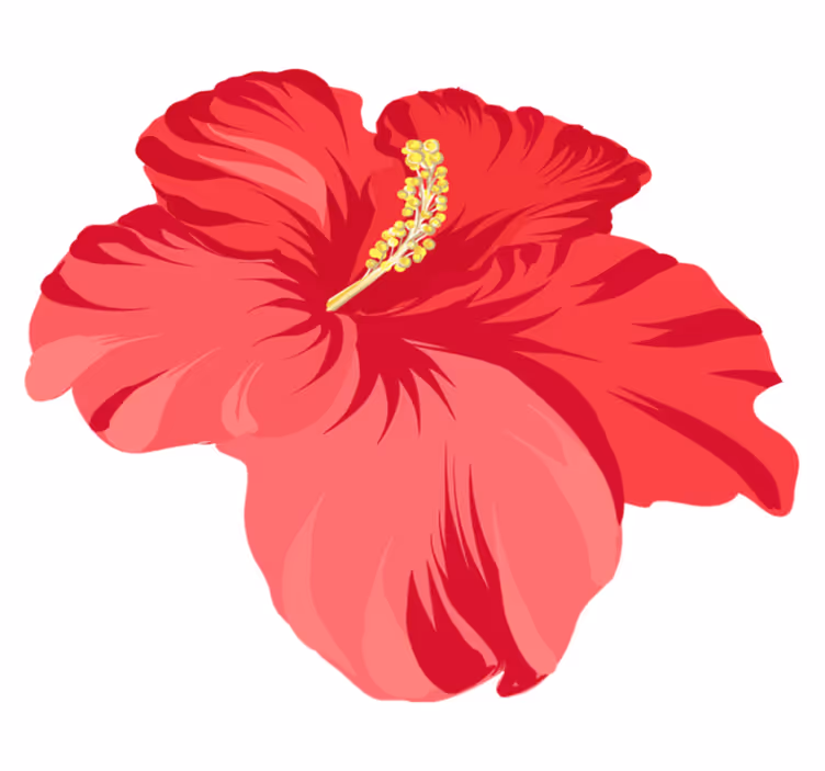 Vinyl teppich blumen rotes hibiskusblumen set - TenStickers