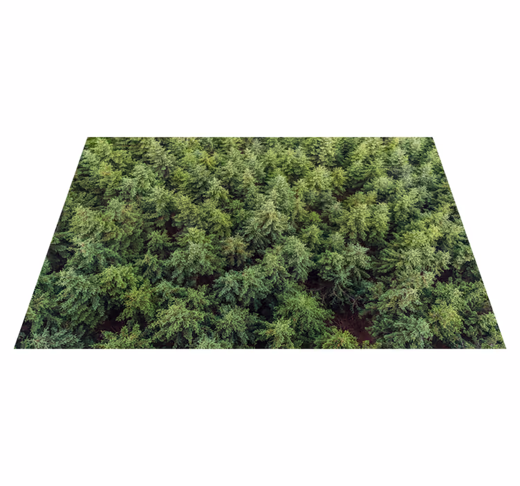 Vinyl Teppich Natur waldblick aus der luft - TenStickers