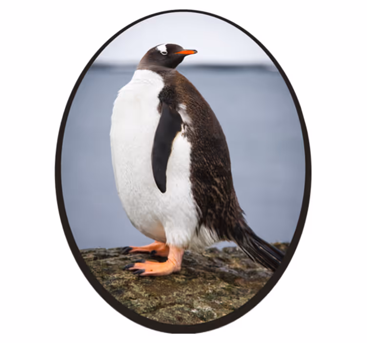 Vinyl teppich tiere pinguin haltung - TenStickers