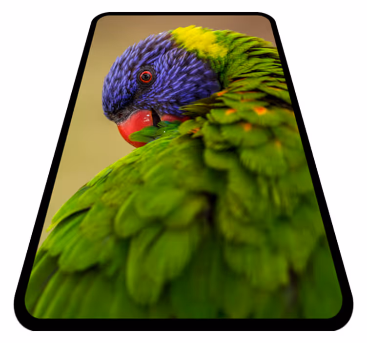 Vinyl teppich tiere mit buntem papageienporträt - TenStickers
